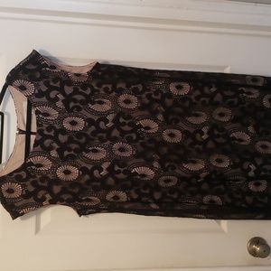 LOFT lace shift  dress